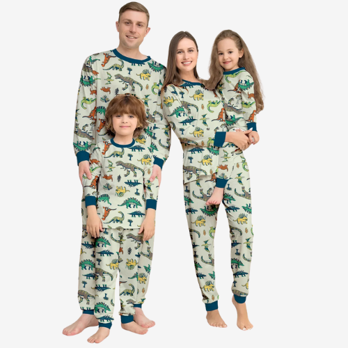 Christmas Dinosaur Print Outfits